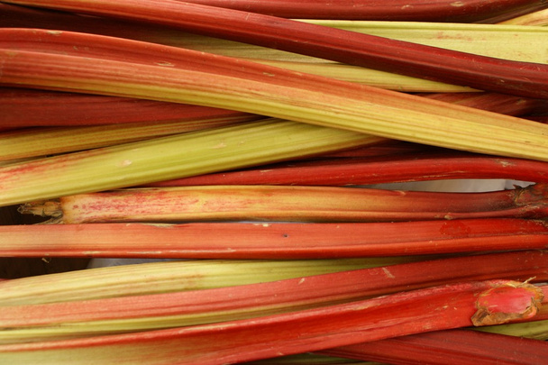 Rhubarb sticks - Photo, Image