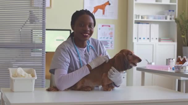 Retrato de la joven y feliz afroamericana veterinario femenino con lindo dachshund de pelo largo marrón en la mesa de examen en la clínica veterinaria moderna - Metraje, vídeo