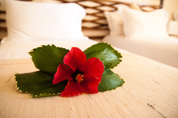 Flor de hibisco rojo en la mesa
 - Foto, imagen