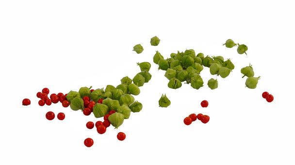 Withania somnifera або Ashwagandha зелені та червоні фрукти або насіння ізольовані на білому тлі. - Фото, зображення