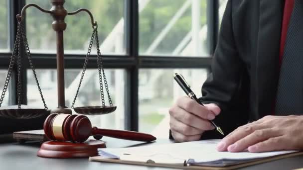Gli avvocati leggono i termini nel capitolato d'oneri, negli accordi giuridici e nella firma. - Filmati, video