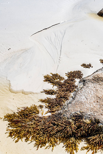 Textures in the sand at Thistle Cove at Cape le Grande, Esperance - Photo, Image