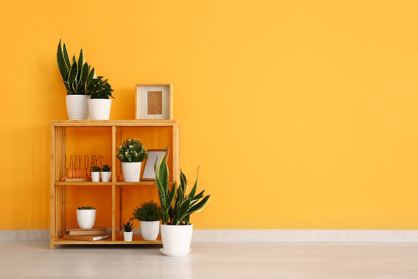 Unidad de estanterías con plantas de interior, marcos y libros cerca de la pared amarilla en la habitación - Foto, Imagen