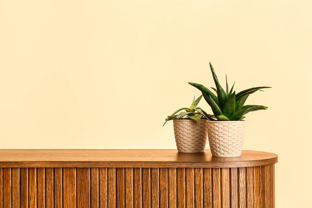 Зеленые растения на полке возле бежевой стены - Фото, изображение