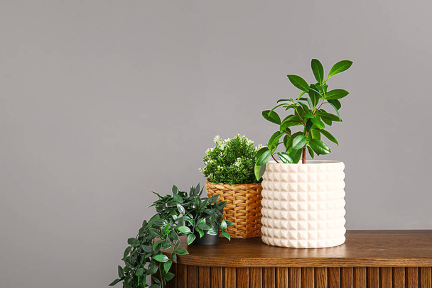Plantas de interior verdes en la mesa cerca de pared gris - Foto, Imagen