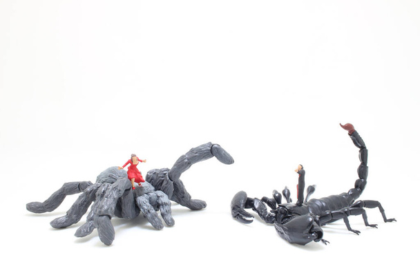 eine Figur schwarzer Skorpion kämpft gegen die Spinne - Foto, Bild