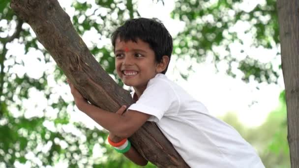 Niño en camiseta blanca jugando y trepando en el parque al aire libre del árbol - Imágenes, Vídeo