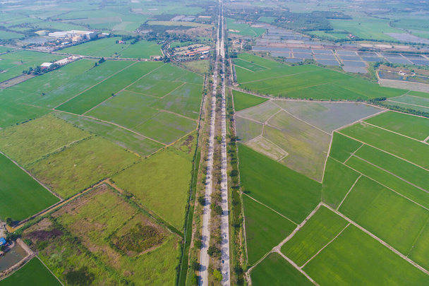 vista aérea da estrada rural com campos de arroz verde - Foto, Imagem