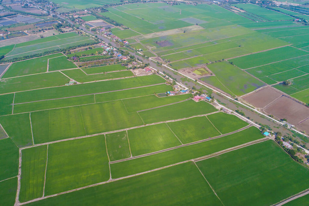 вид с воздуха на сельскую дорогу с зелеными рисовыми полями - Фото, изображение