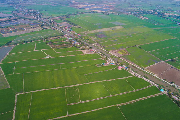 вид с воздуха на сельскую дорогу с зелеными рисовыми полями - Фото, изображение