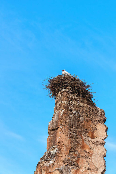 Marakeş, Fas, Kuzey Afrika 'daki Badi Sarayı' nın yıkılmış binalarının tepesinde bir leylek. - Fotoğraf, Görsel