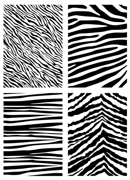 Padrão de zebra
 - Vetor, Imagem
