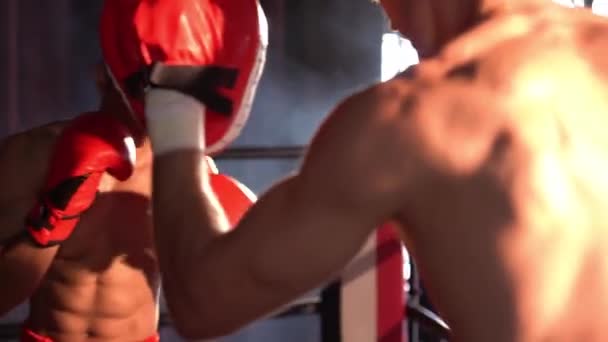 Azjatycki i kaukaski bokser Muay Thai uwalnia cios w zaciętej sesji treningowej boksu, dostarczając cios bokserski sparingowi trenerowi, pokazując technikę i umiejętności boksu Muay Thai. Impetus - Materiał filmowy, wideo