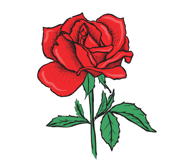 Rózsa virág, kézzel rajzolt illusztráció - Vektor, kép
