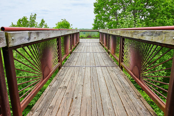 Afbeelding van Lagere weergave van de zomer bos van boomtop boardwalk met roestige metalen balken in het plaatsen van zon patroon - Foto, afbeelding