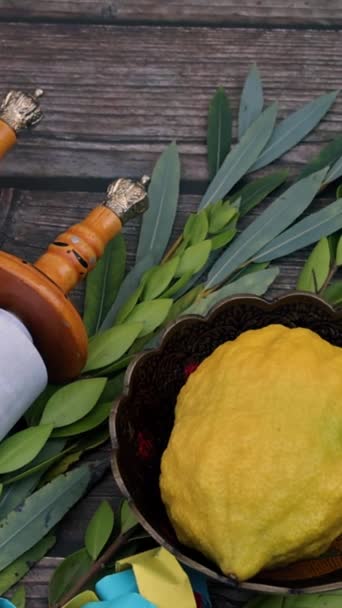 In Jewish Orthodox festival of Sukkot four species, namely Etrog, lulav, hadas, arava, hold significant importance as traditional Holiday symbols - Materiaali, video