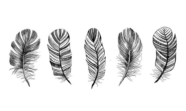 Feather Pattern hand drawn - Vector, Image