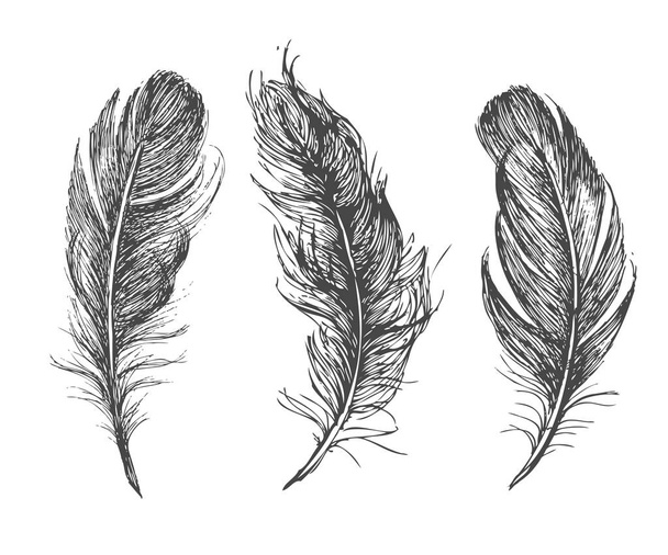 Feather Pattern hand drawn - Vektor, obrázek