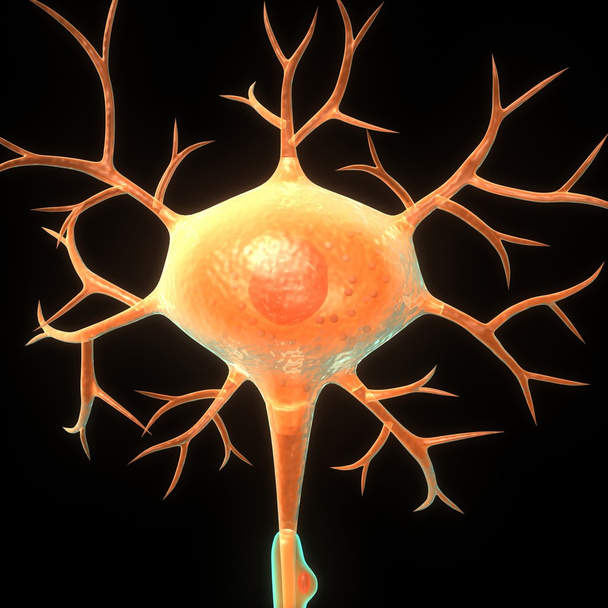 neurone
 - Photo, image