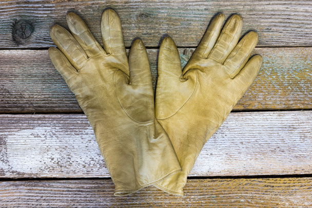 women's gloves - Fotoğraf, Görsel