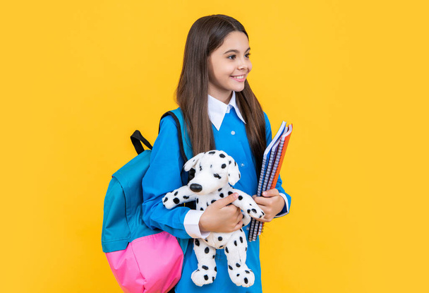 teen girl hold toy of her childhood. study at college. back to school. childhood and education. college student girl. teen girl gets high education. education in school. study at school. - Fotoğraf, Görsel