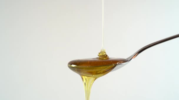 Il miele scorre su un cucchiaio finché non trabocca - Filmati, video