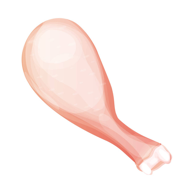 Κοτόπουλο πόδι, ακατέργαστο drumstick top view σε στυλ κινουμένων σχεδίων που απομονώνονται σε λευκό φόντο. Κρέας πουλιών ξεκούμπωτο, σχεδιασμός συστατικών. Εικονογράφηση διανύσματος - Διάνυσμα, εικόνα