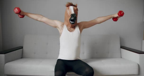 Komická kondice doma. Vtipný muž s koňskou maskou cvičení s činkami pro ruční trénink na bílé pohovce doma. Koncept zábavného zdraví a fitness. Vtipné protahování. Vtipné domácí cvičení. - Záběry, video