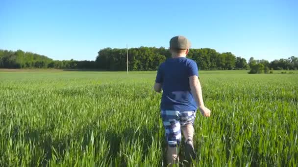 Follow to happy boy is running through the field with green wheat at a sunny hot day. Carefree child in hat jogging at the meadow in summer and having fun. Concept of childhood and rest. Slow motion. - Footage, Video