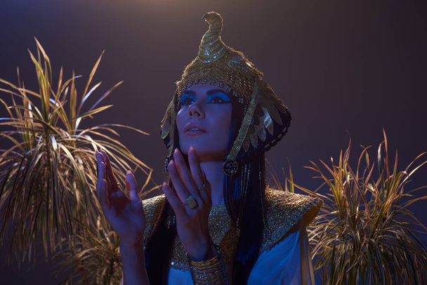 Donna in costume egiziano guardando lontano vicino alle piante del deserto in luce blu su sfondo marrone - Foto, immagini