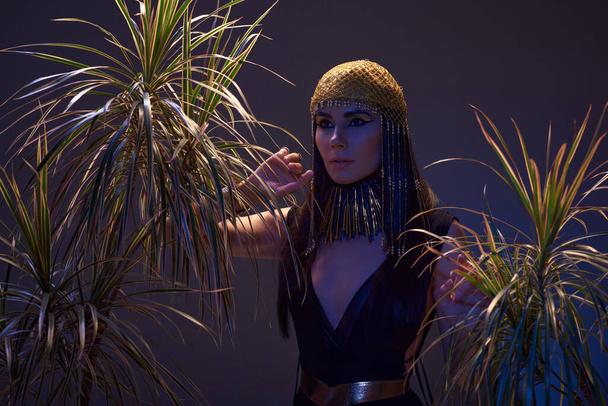 Mujer elegante en aspecto egipcio y tocado cerca de las plantas del desierto sobre fondo marrón con luz azul - Foto, imagen