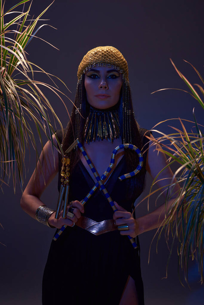 Woman in egyptian look holding flail and crook near plants on brown background with blue light - Fotografie, Obrázek