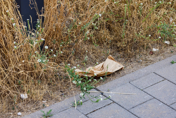 Almanya 'da sokağa kağıt torba atarak kirlilik - Fotoğraf, Görsel