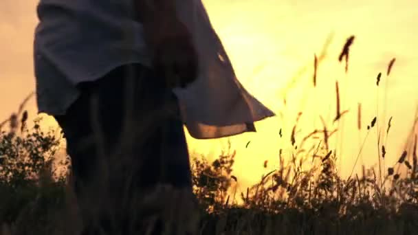 Жінка насолоджується природою прогулянка в літній сонячний луг на заході сонця сонячний луг збільшити вибірковий фокус - Кадри, відео