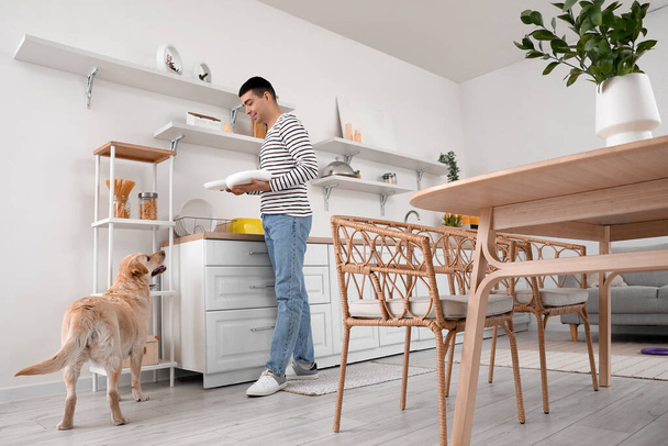 キッチンでプレートとかわいいラブラドール犬と若い男 - 写真・画像