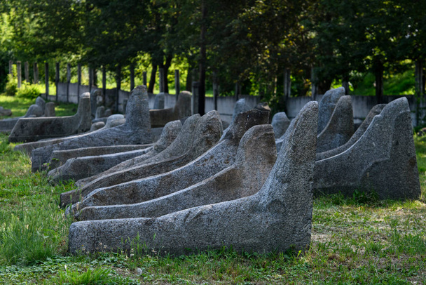 Старе єврейське кладовище в Бердичеві, Україна, липень 2023. Високоякісна фотографія - Фото, зображення
