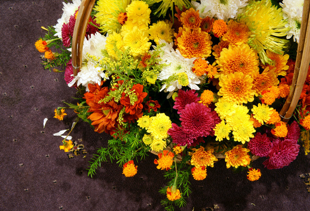 flores da primavera, cesta de flores
 - Foto, Imagem