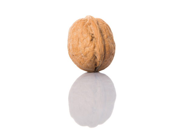 Ореховый орех
 - Фото, изображение