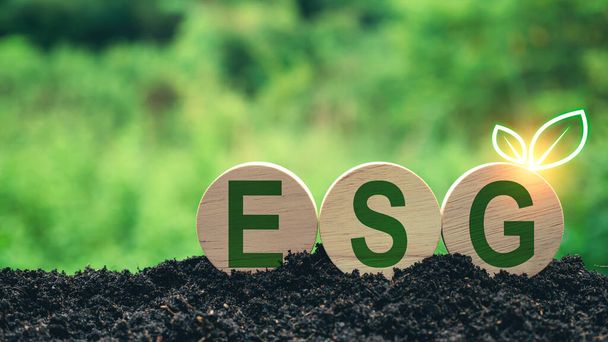 ESG-Konzept für Umwelt, Gesellschaft und Governance in nachhaltig. Unternehmen verantwortlich für Umwelt. - Foto, Bild