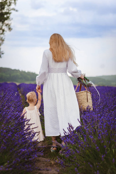On ihana päivä laventelipellolla, kun äiti kävelee pienen tyttärensä kanssa. - Valokuva, kuva