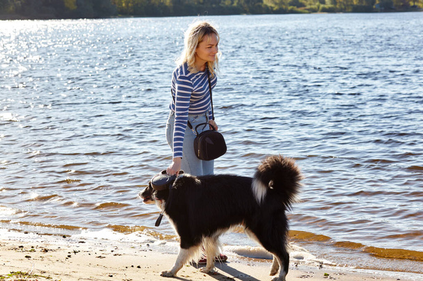 Owner plays with a siberian laika dog on a beach. Friendship of a dog and a woman - Photo, image