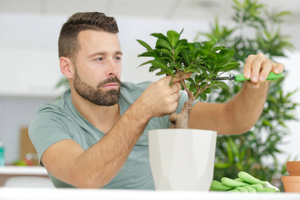 man taking care of plants at home - Fotó, kép