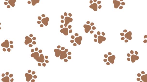 Arrière-plan rempli d'empreintes animales (marron et bleu) - Séquence, vidéo