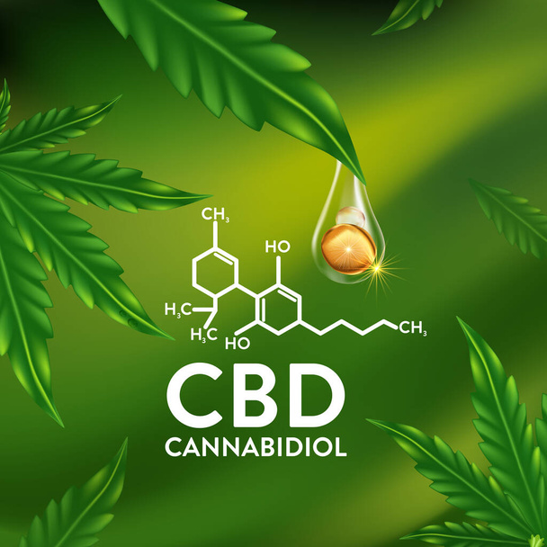 cannabis cáñamo cbd aceite vector ilustración - Foto, imagen