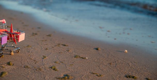 Miniatuur Boodschappenmandje Stands On Shore Of Sea, die wordt gewassen door het water, In Mand Er zijn schelpen, Zeesterren en Zeepaardje. Het concept van zomerverkoop en het kopen van ticket naar zee. Hoge kwaliteit foto - Foto, afbeelding