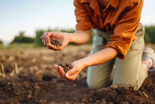 Experienced farmer woman touches the soil with her hands, collects it, checks health and quality of soil before growing seeds, vegetables, plants. Business, agriculture concept. - Фото, зображення
