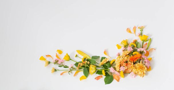 frame of beautiful flowers on white background - Фото, изображение