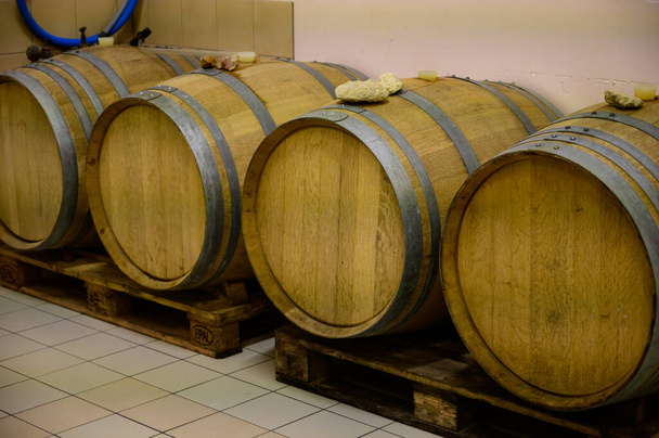 Wijntour in kelders van domein in Pouilly-Fume appellation, witte wijn uit wijngaarden van Pouilly-Fume appellation in de buurt van Pouilly-sur-Loire, Bourgogne, Frankrijk. - Foto, afbeelding