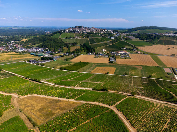 Αεροφωτογραφία σε καταπράσινους αμπελώνες γύρω από το χωριό οινοποιία Sancerre, σειρές από σταφύλια sauvignon blanc σε λόφους με διαφορετικά εδάφη, Cher, κοιλάδα του Λίγηρα, Γαλλία - Φωτογραφία, εικόνα