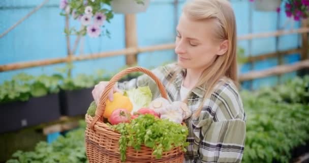 Powolny ruch uśmiechniętego rolnika trzymającego zebrane organiczne warzywa w koszyku w szklarni. - Materiał filmowy, wideo